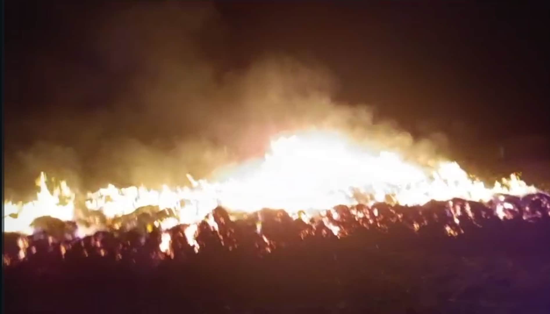 शिकारपुर क्षेत्र के गांव समनपुर के जंगल में गेहूं की फसल में लगी आग। संवाद