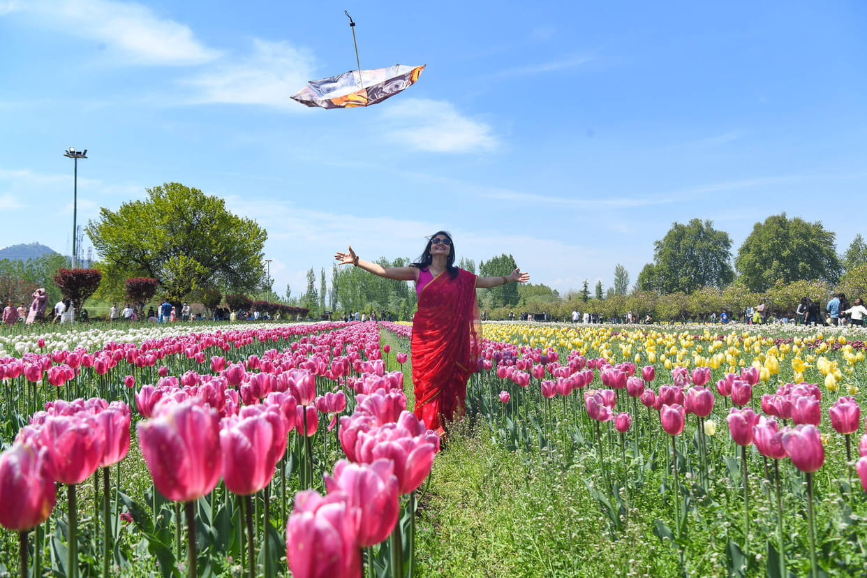 Srinagar, Tulip Garden, 3.42 lakh Tourist Reached, with in 28 Days