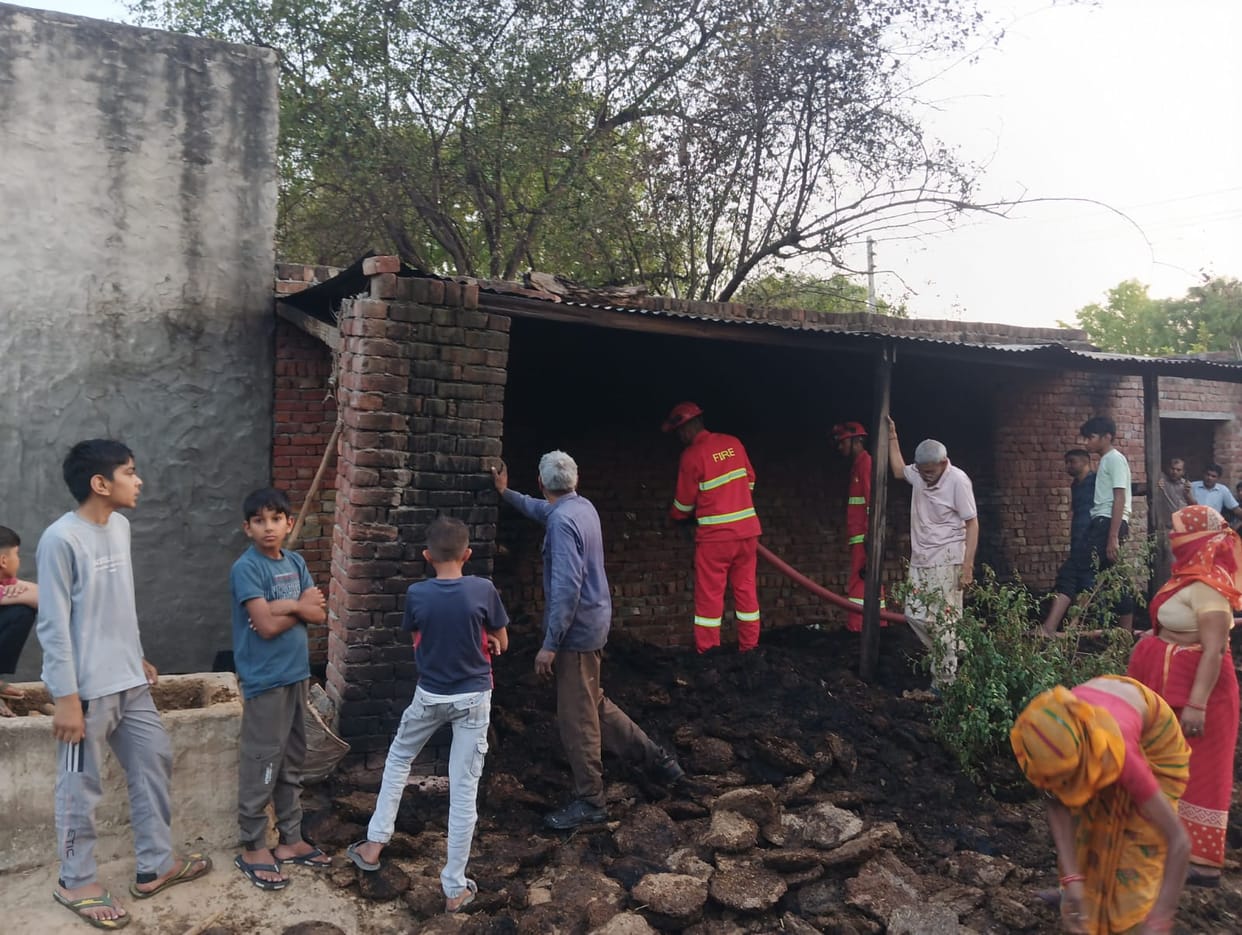 Farmer's Cow-Dung Cakes Destroyed in Fire