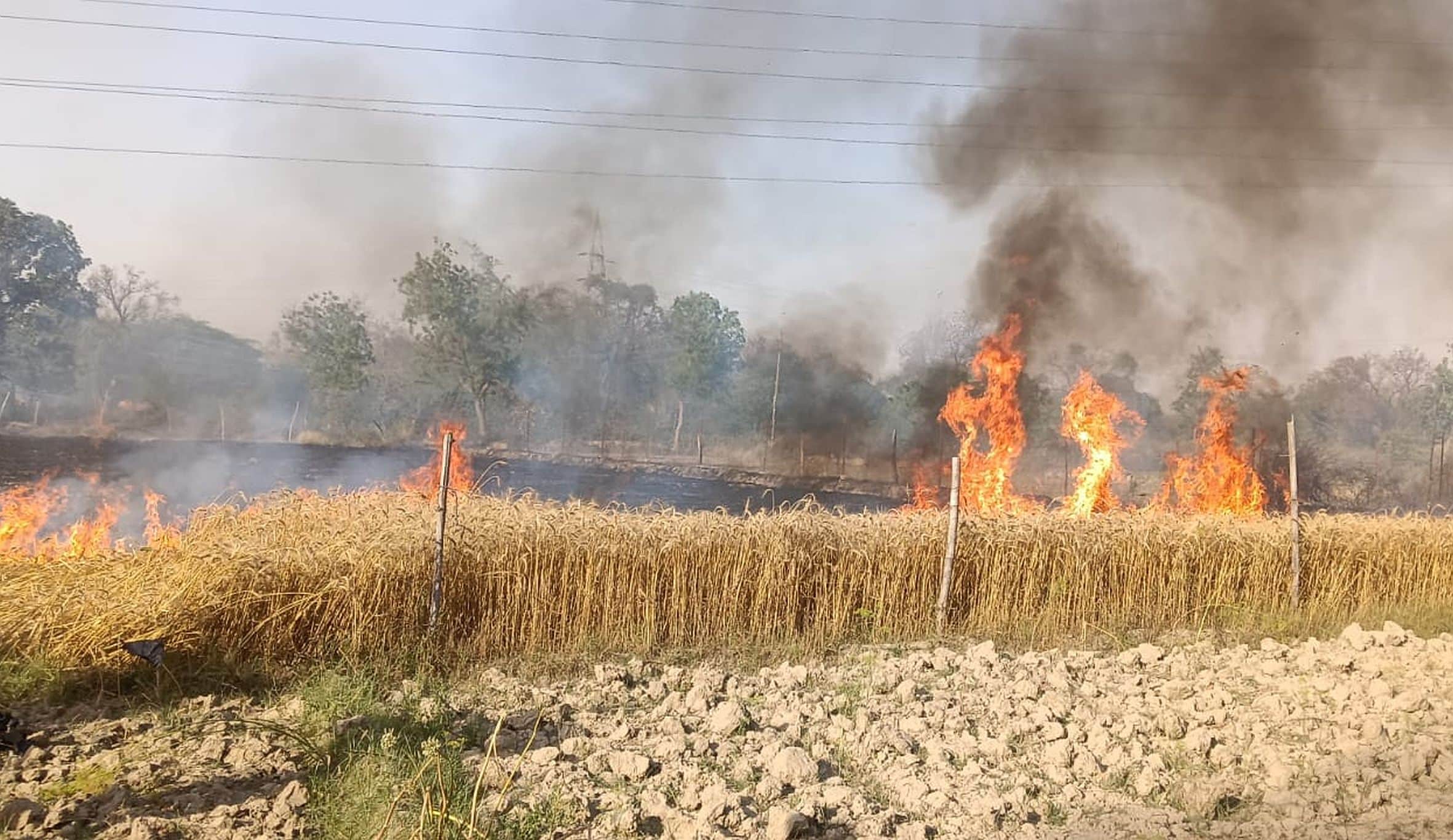  अमेठी के गुंगवाछ गांव स्थित सीवान में लगी आग। स्रोत: ग्रामीण