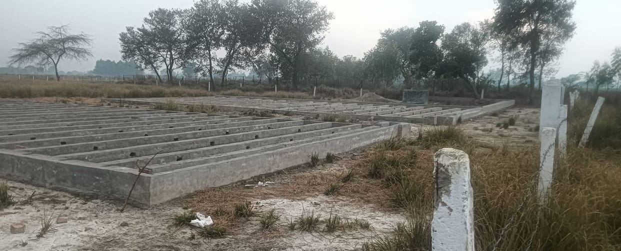 Biodiversity Park Taking Shape in the Katri Region; Tourism Hub to be Established on the Banks of the Ganges