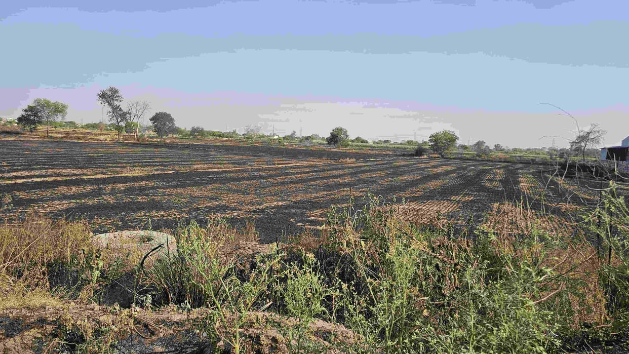 Farmers' Crops Reduced to Ashes by Fire in the Fields of Dulhera and Kherka.
