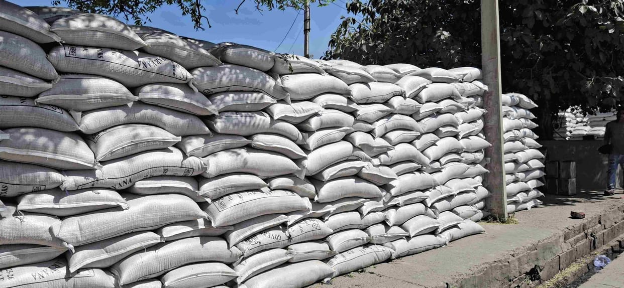 Wheat arrivals rise in Bahadurgarh and Asauda; procurement picks up pace.