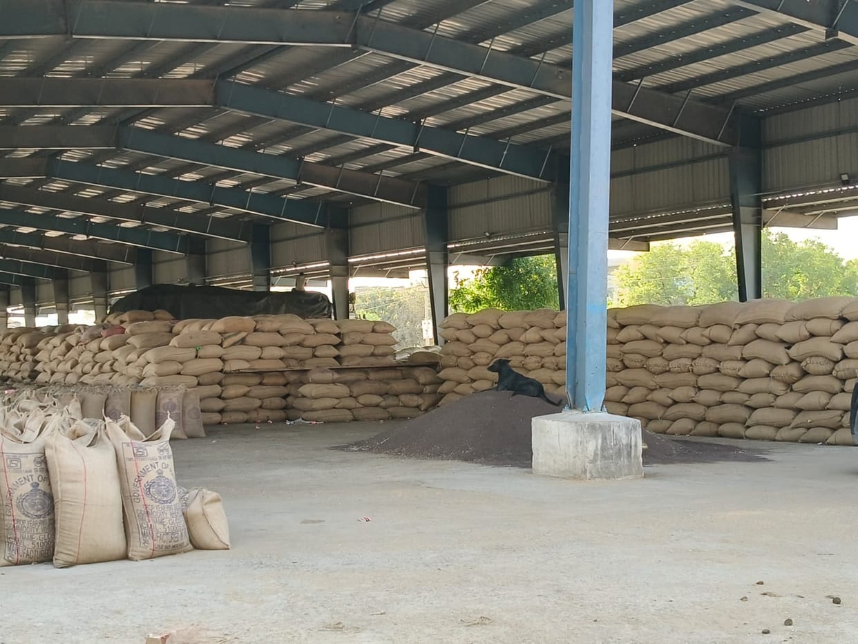 Mustard market prices expected to rise amidst global tensions.