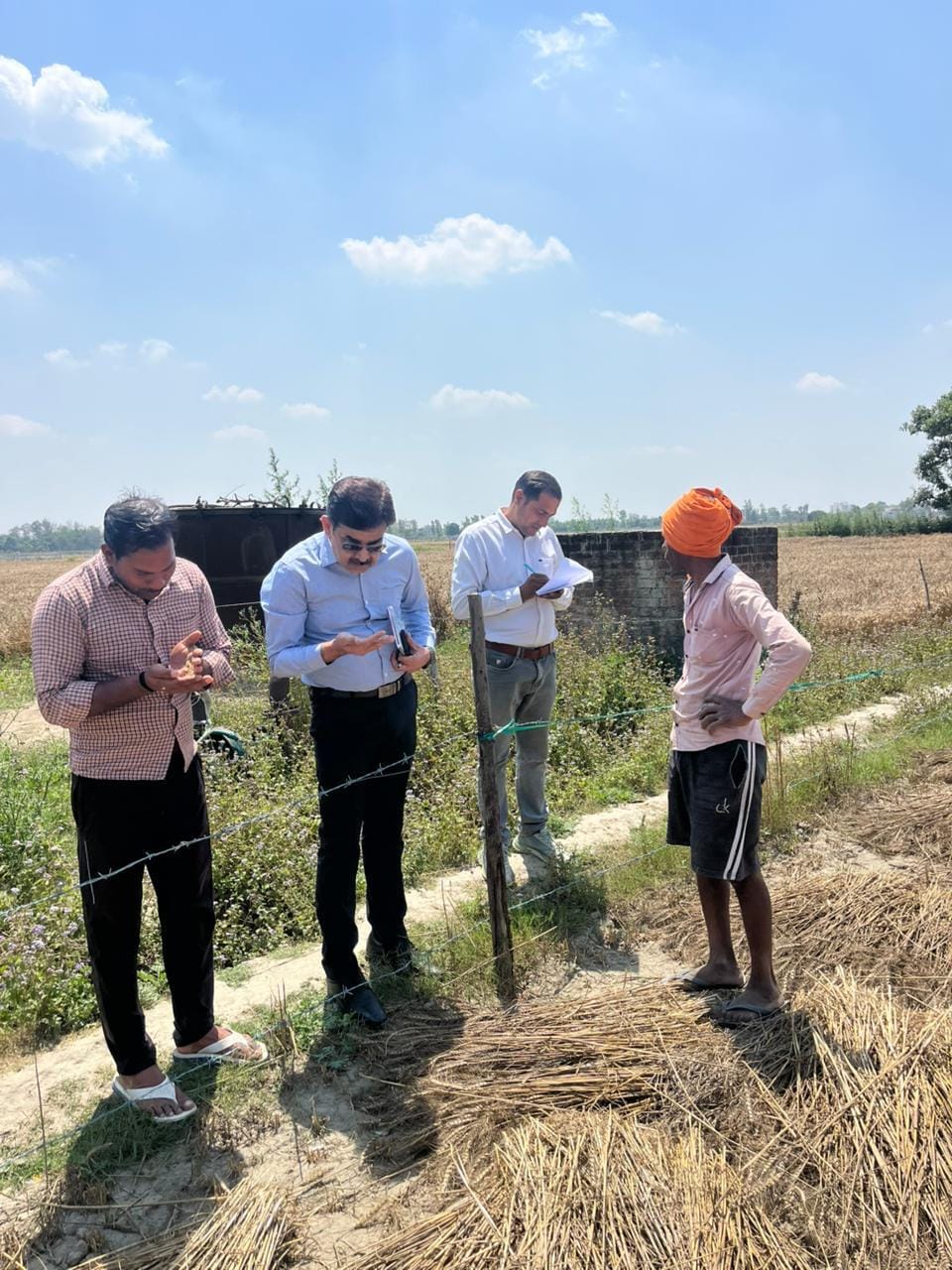 5% wheat crop affected by storm and rain, 127 farmers filed insurance claims
