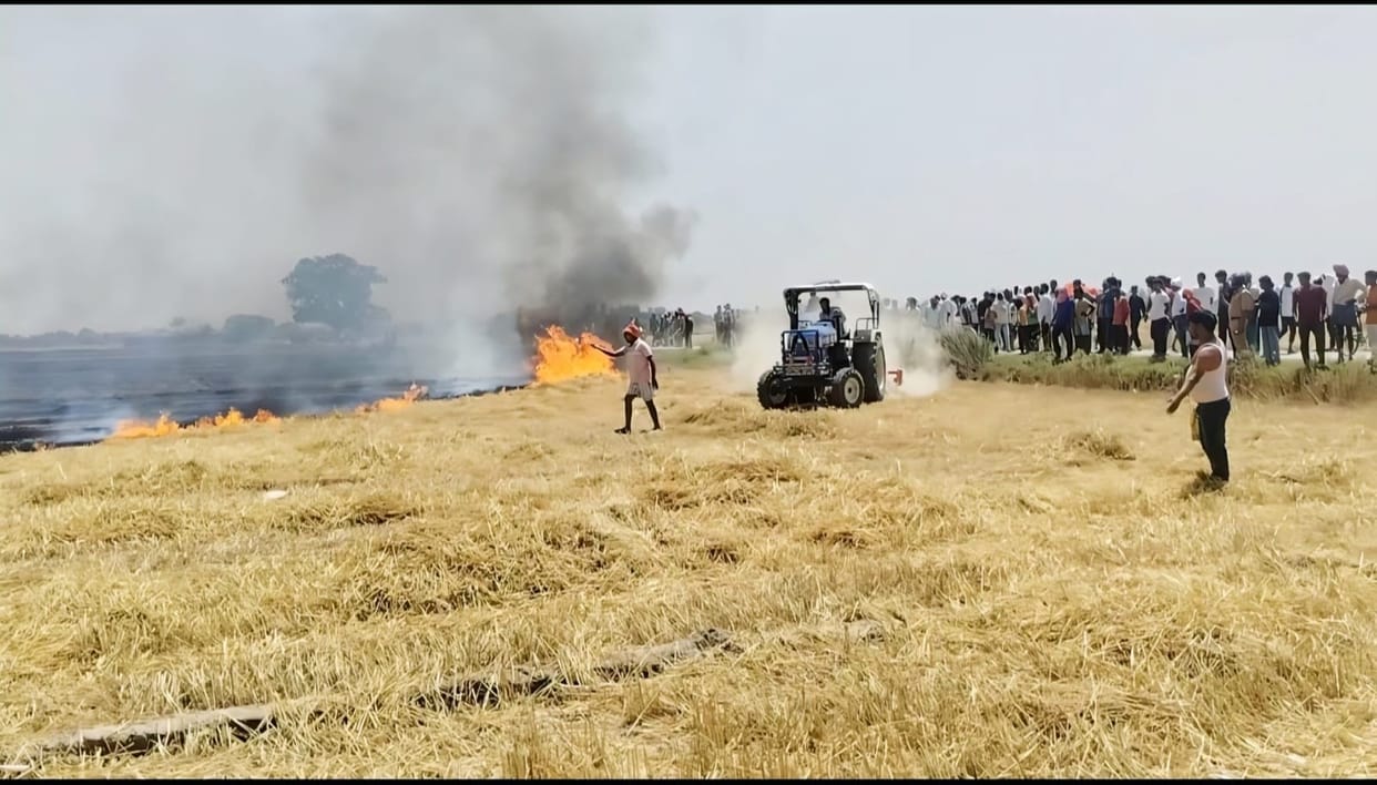 20 bigha wheat crop burnt to ashes in a fire caused by unknown reasons