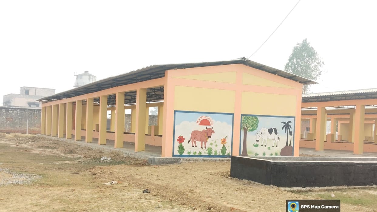 Large cow conservation centers with a capacity of two to four hundred will be built in six blocks.