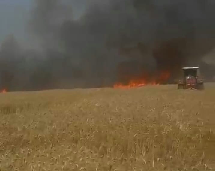 Fire broke out in Sutana, Bhadar, Kakoda, burning 21 acres of wheat and 26 acres of bamboo.
