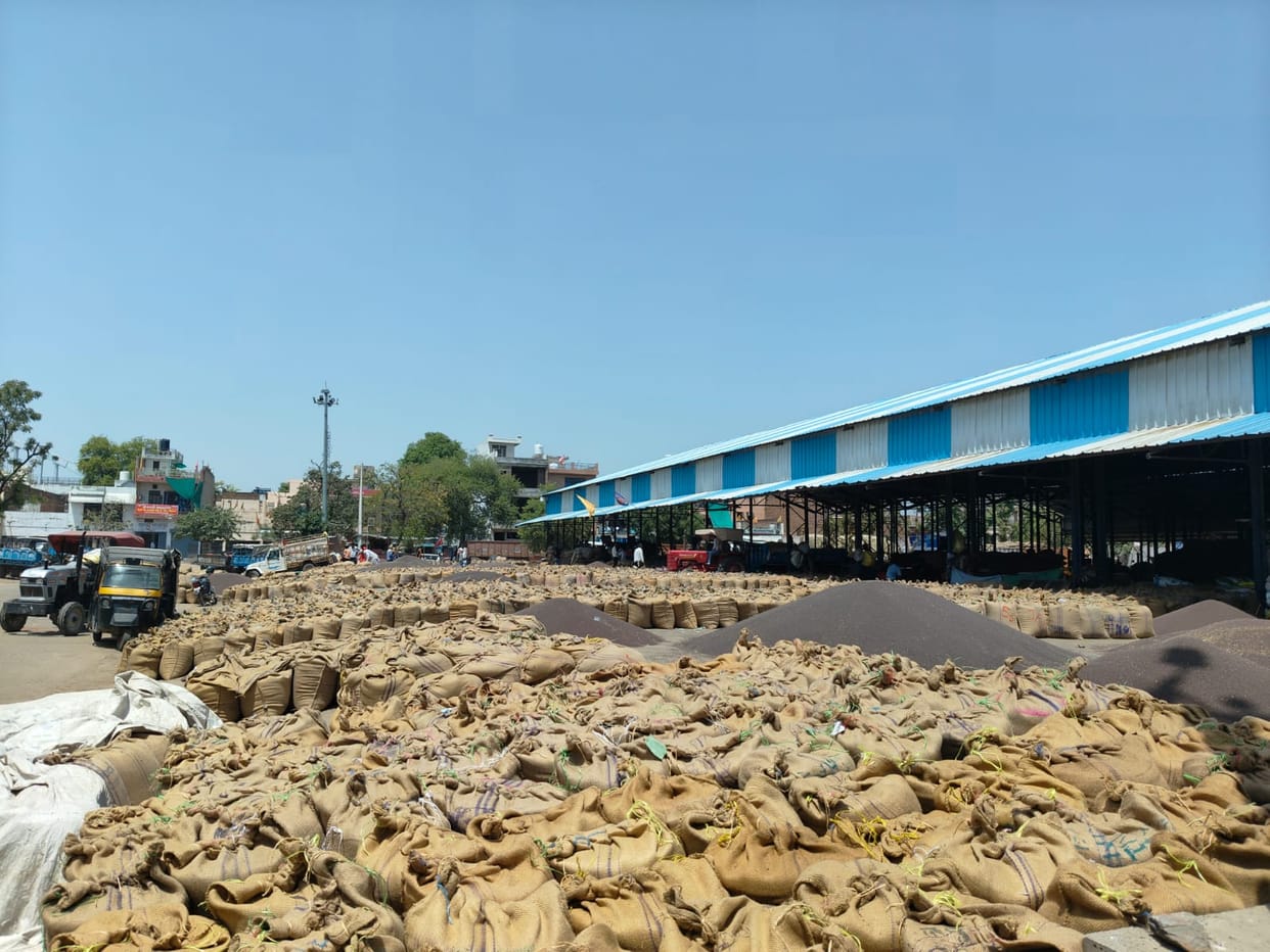 mustard were recorded at the market and 750 gate passes were issued