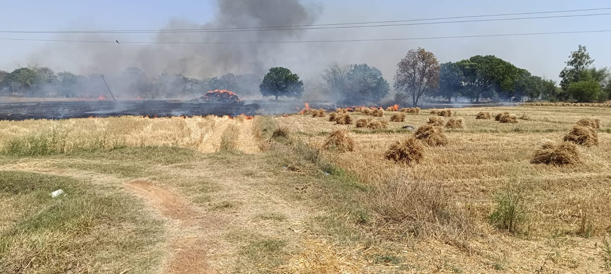 A short circuit caused a fire in a wheat field, and firefighters arrived two hours later.