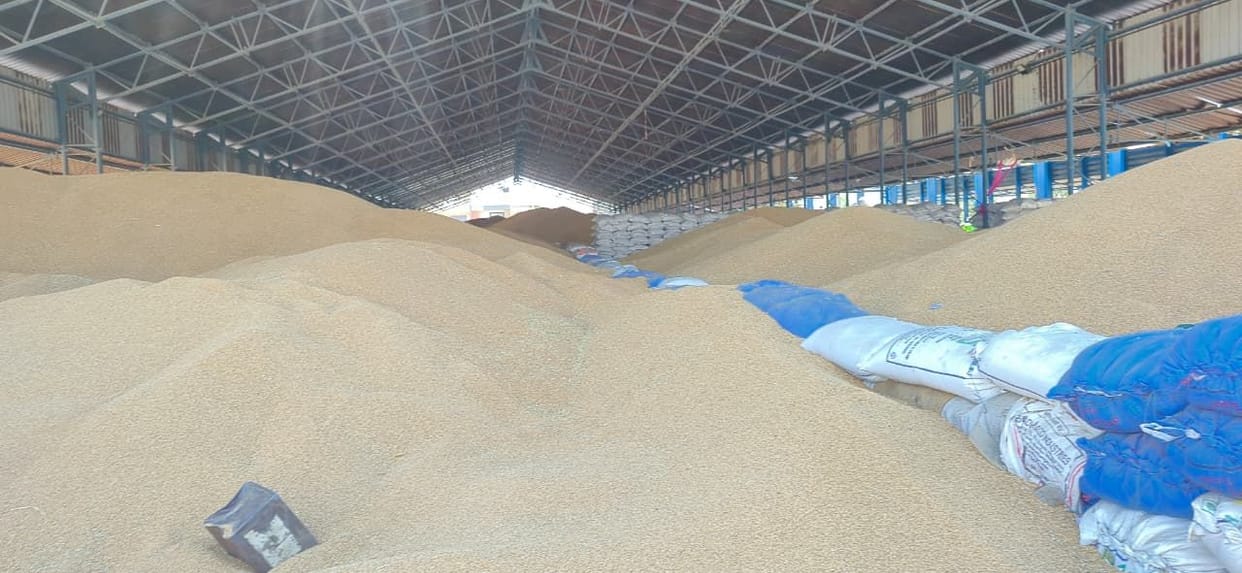 200 quintals of wheat from 400 farmers arrived at the headquarters market, procurement stopped due to lack of space, lifting intensified.