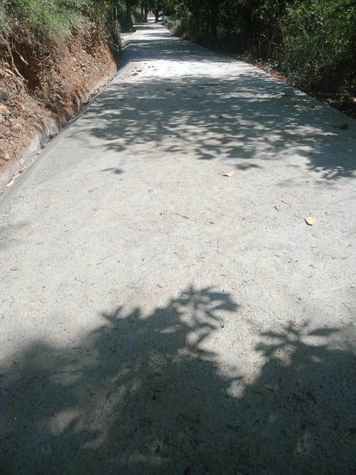 भरेड़ी से अमरोह बाया फकडूही सड़क को किया पक्का। स्रोत : जागरूक पाठक