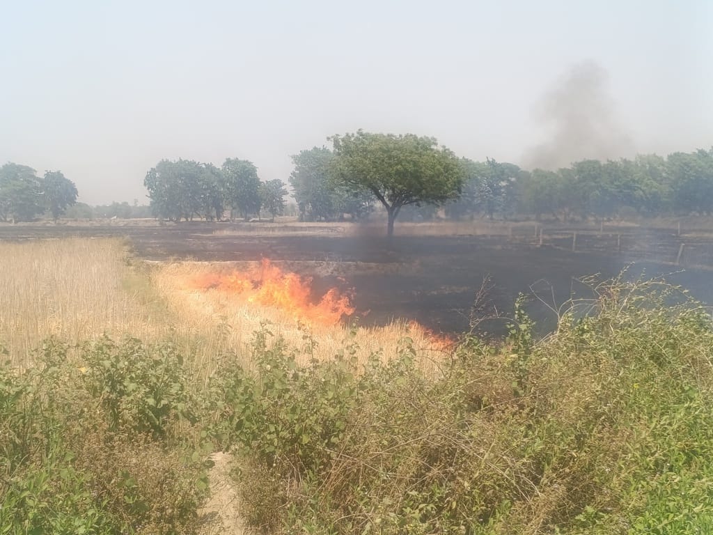 A massive fire broke out in a field near Chandotaal Bird Sanctuary, which was brought under control after four hours.