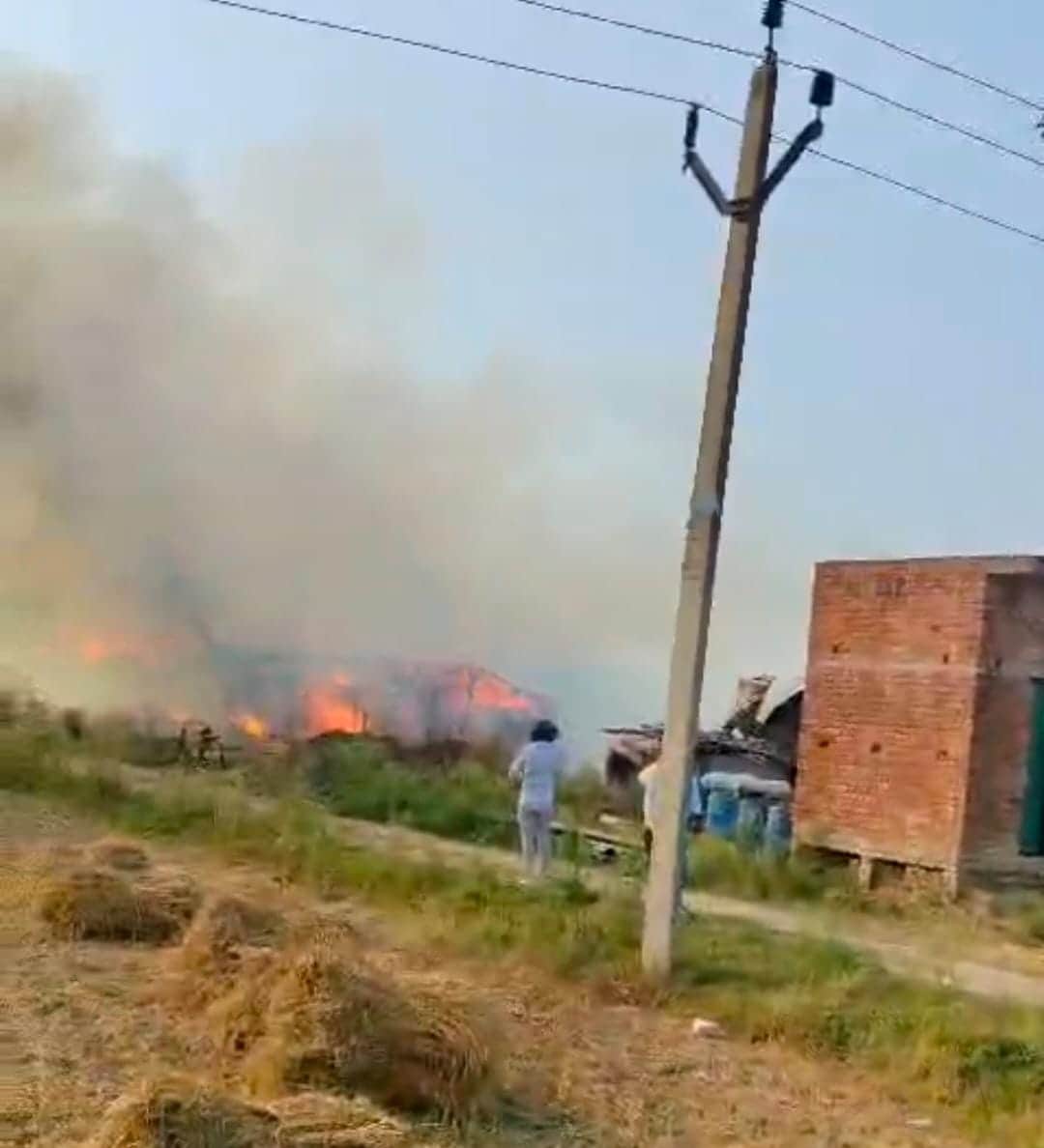 फोटो 14 एचएएमपी 24-  मुर्गी फार्म हाउस में लगी आग।   संवाद