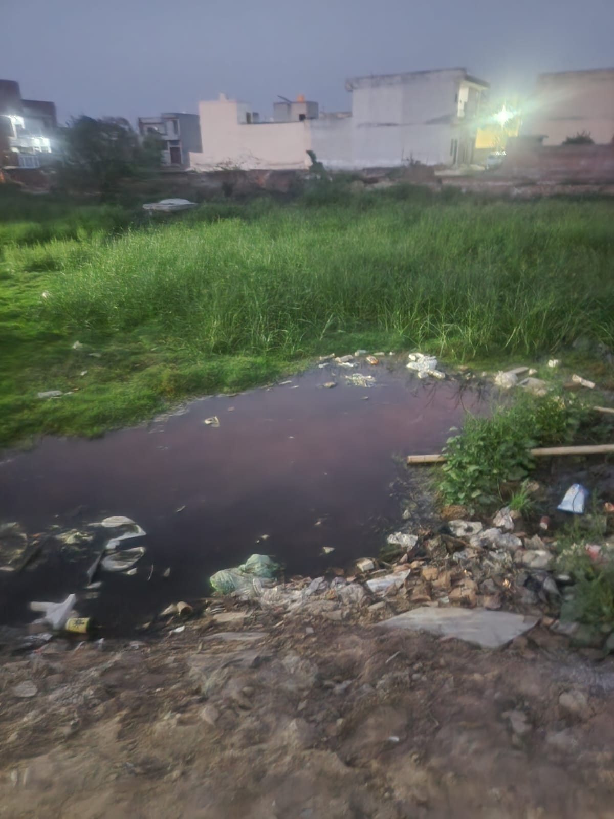 Wastewater is accumulated in the vacant plots of Ward-11