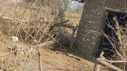 A woman's suspicious body was found near a farm hut; Dhanpuri police are investigating.