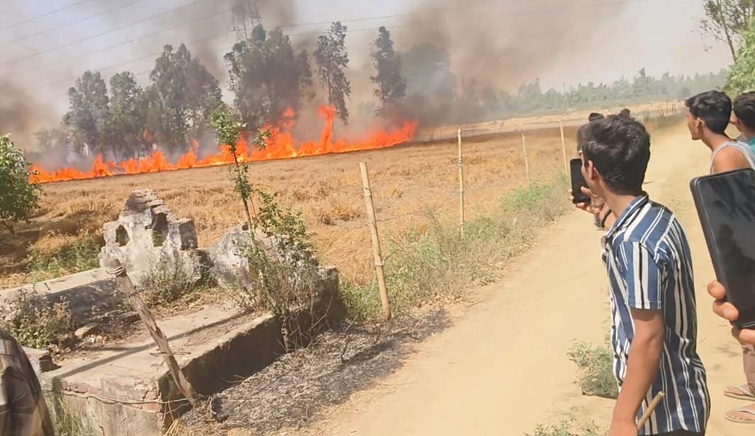 Wheat crop destroyed by fire in the fields amidst strong winds.