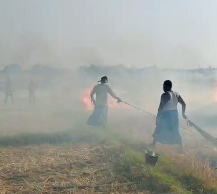 मानधाता के खरगीपुर में गेहूं की फसल में लगी आग। सोशल मीडिया