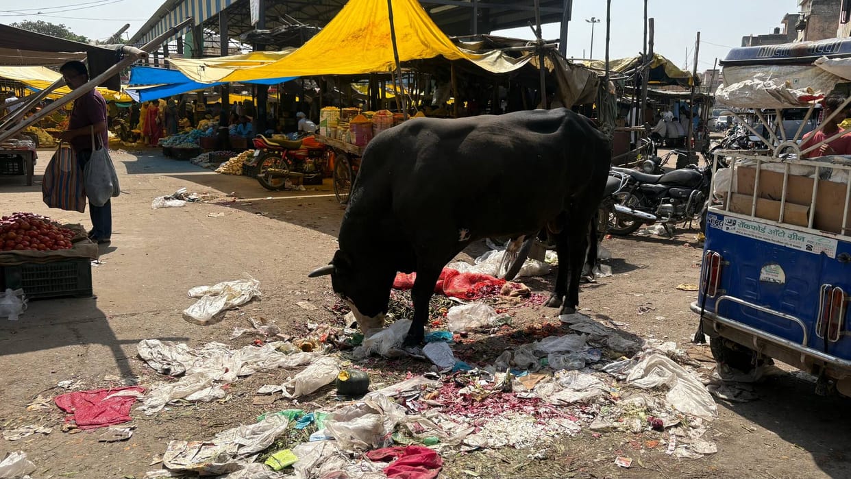 Despite spending crores, the sanitation system has not improved