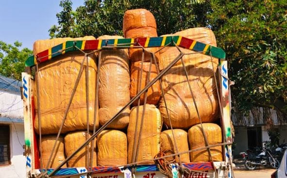 15 Quintals of Ganja Seized from Truck; Two Arrested