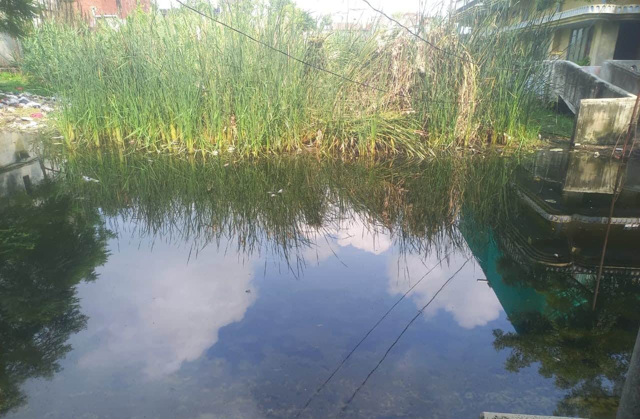 वेदमनपुर में बस्ती के बीच भरा घरों का गंदा पानी। संवाद