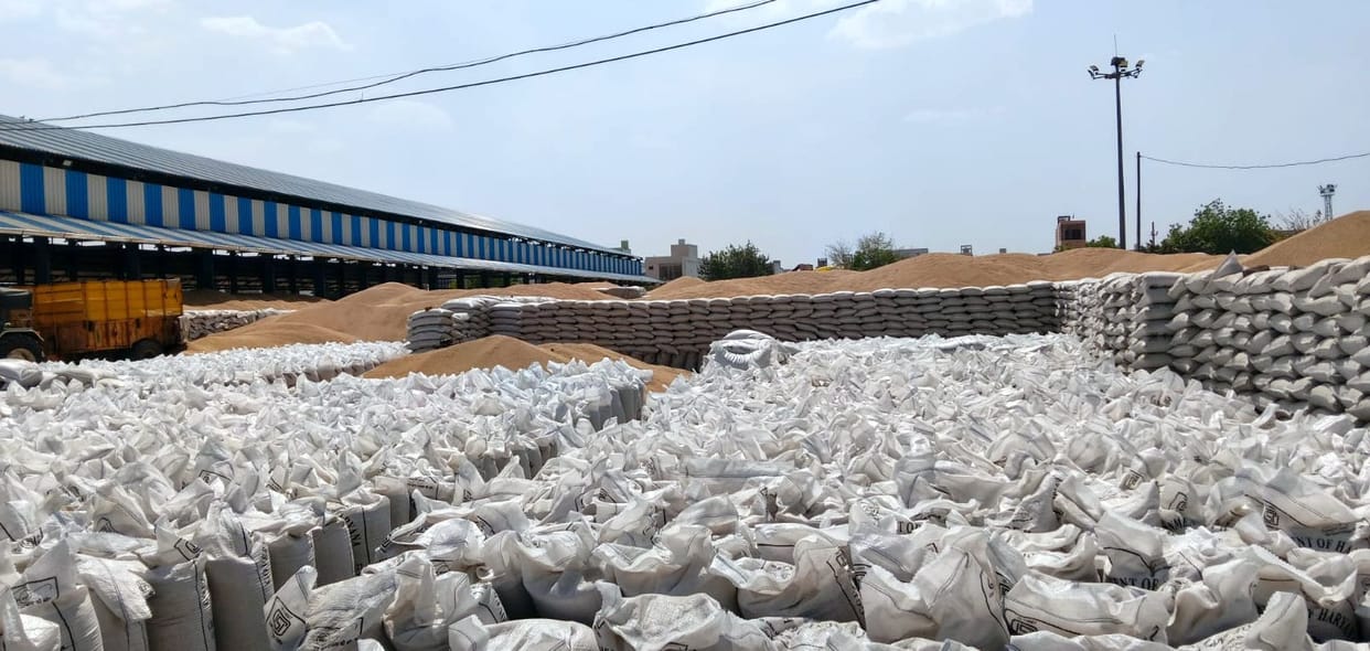 No space left to unload wheat at the mandis; gate passes could not be issued due to a site outage, leaving trucks stranded in queues.