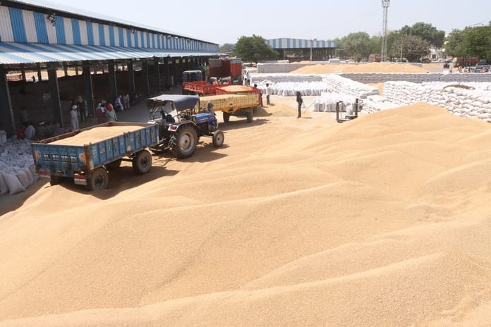 7.90 lakh quintals of wheat purchased