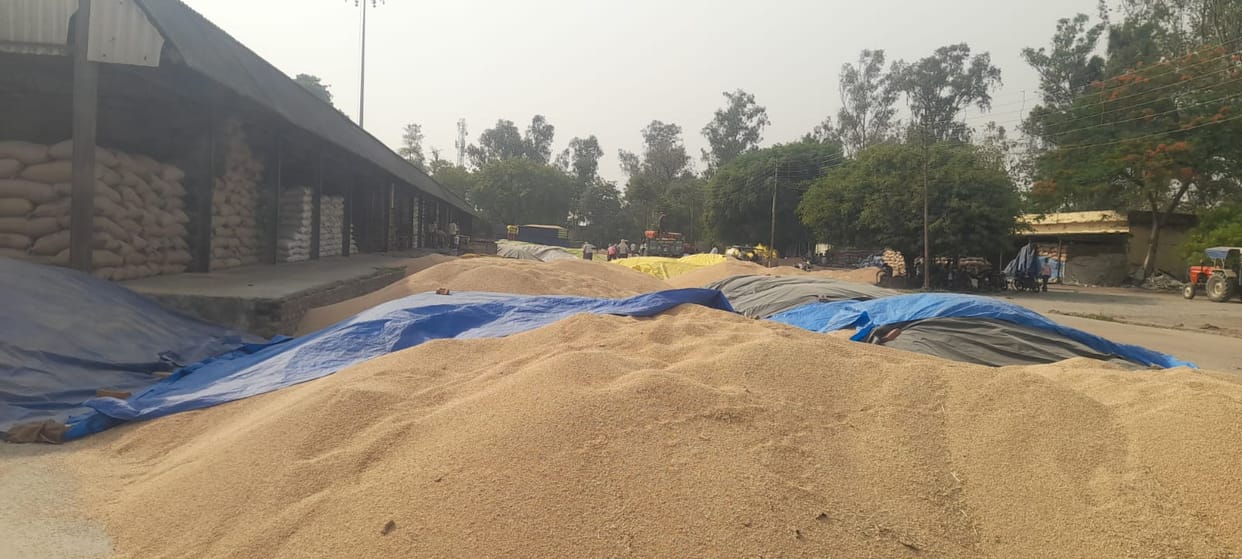 20 Procurement Centers in Banda Mandi Turn Out to Be Mere Showpieces