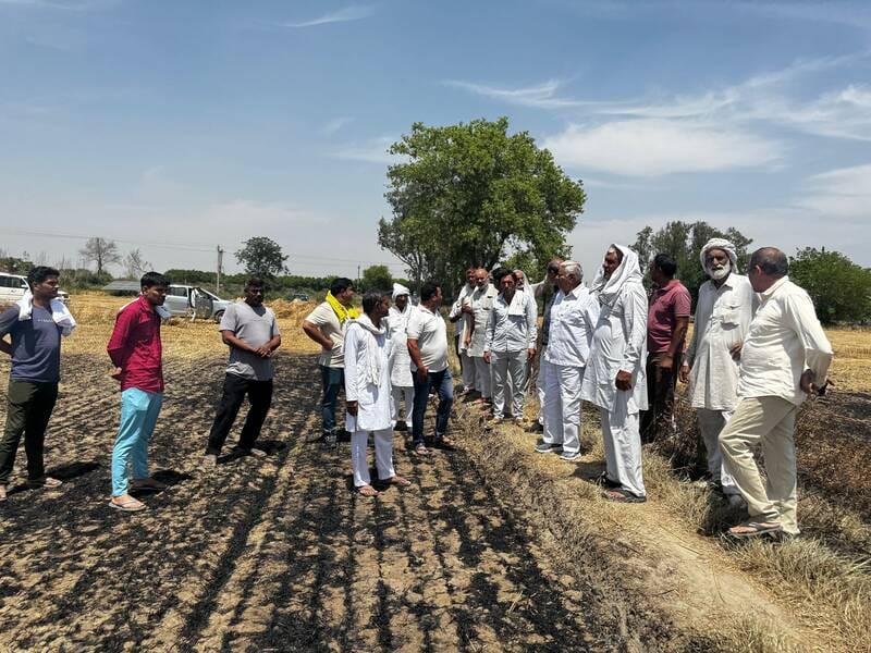 Crops turn to ashes in Dulhera village, MLA demands compensation