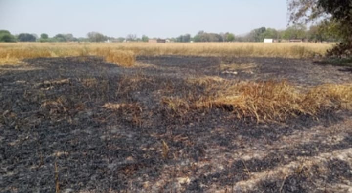 Fire broke out in a wheat field, burning six bighas of crop.