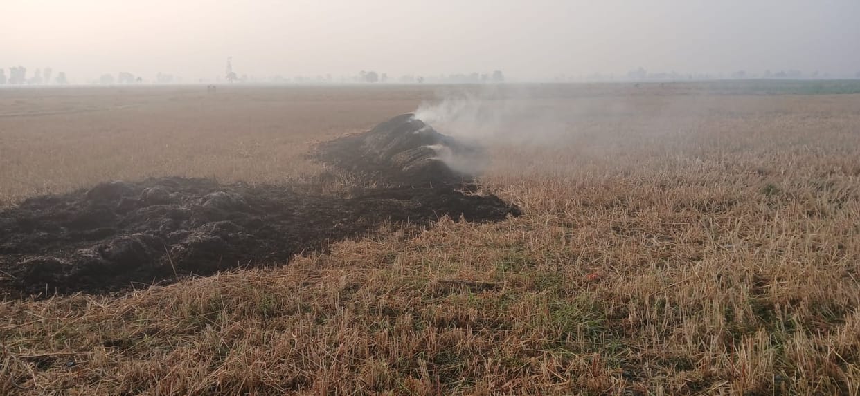 Thresher sparks turn into disaster, farmer's year-long hard work goes to waste