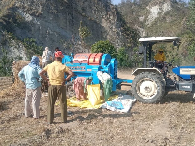 Farmers stopped wheat harvesting and focused on threshing.
