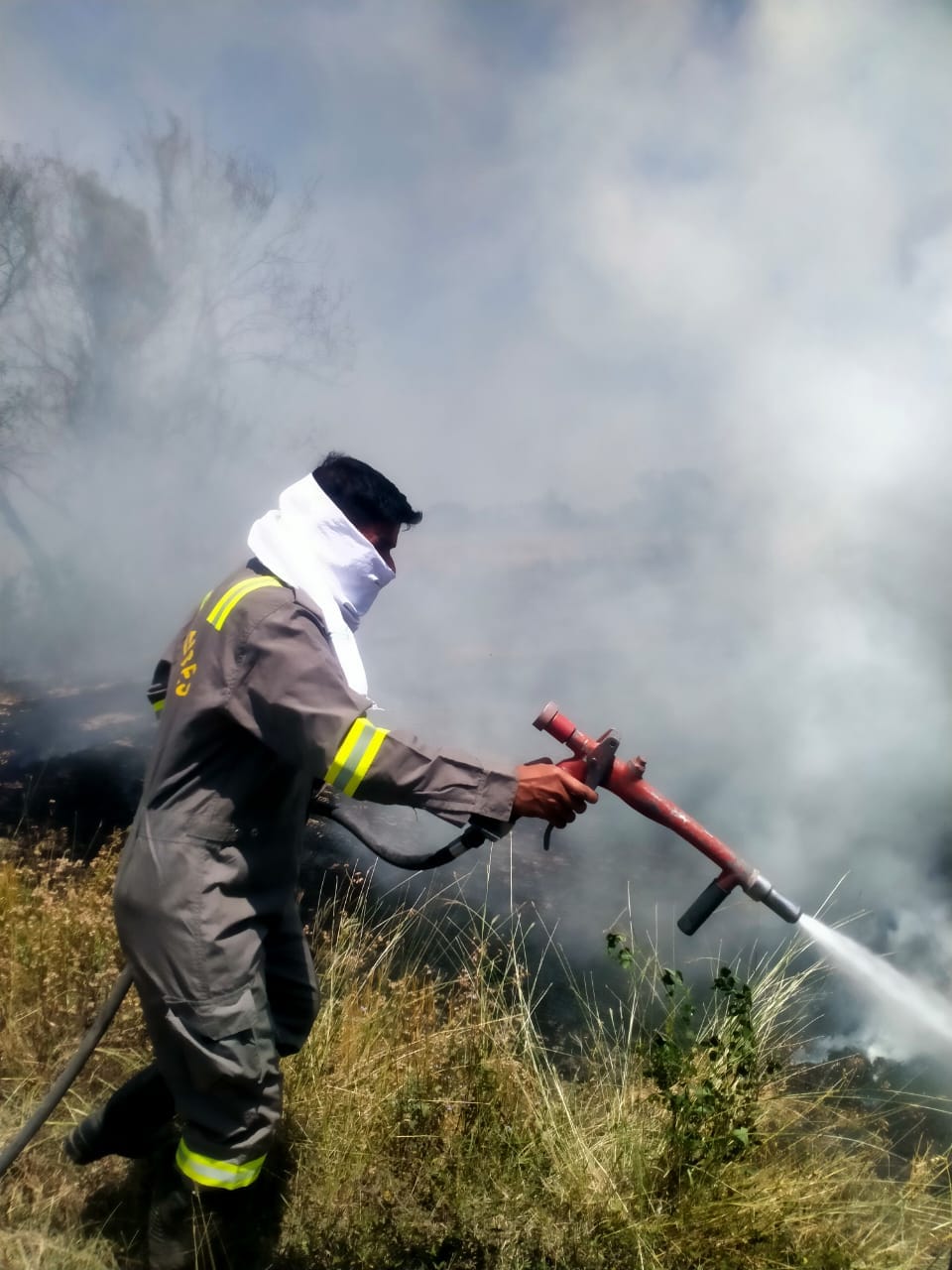 Twenty bighas of wheat crop belonging to six farmers in Maksudpur village was burnt to ashes.