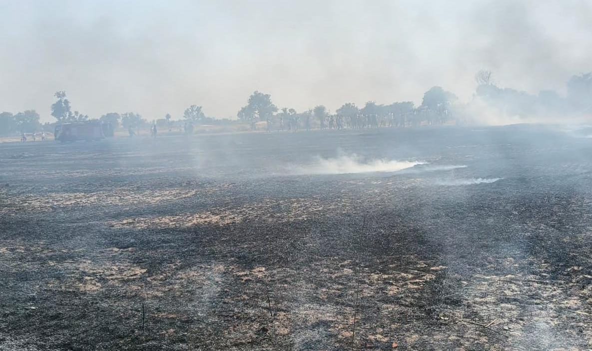 40 bighas of wheat crop belonging to four farmers burnt