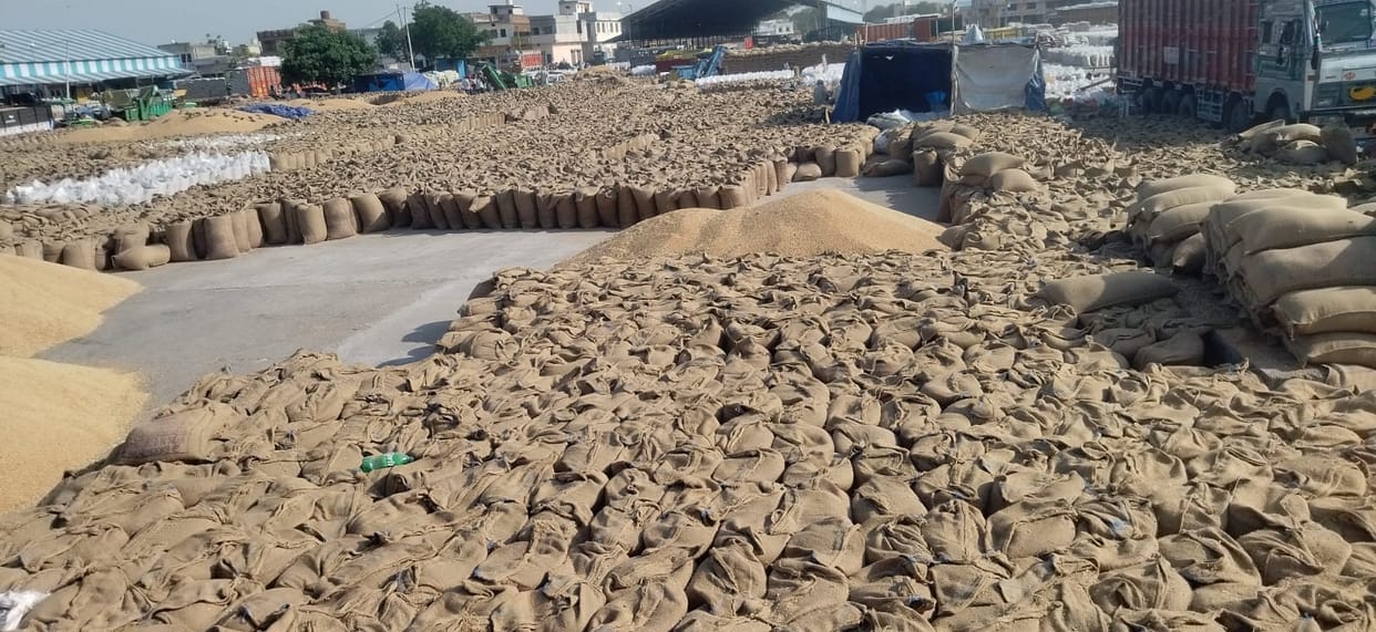 Procurement agencies have so far purchased 274344 metric tonnes of wheat: Deputy Commissioner