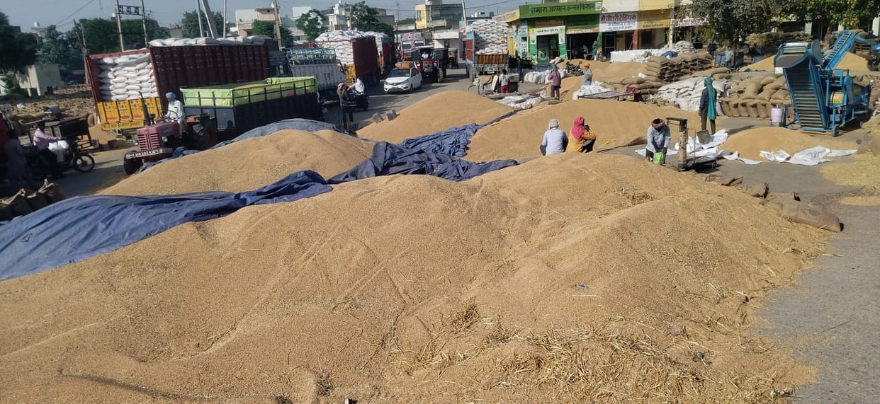 Despite the officials' claims, the lifting process in the market is slow, with heaps of wheat sacks lying in the market.