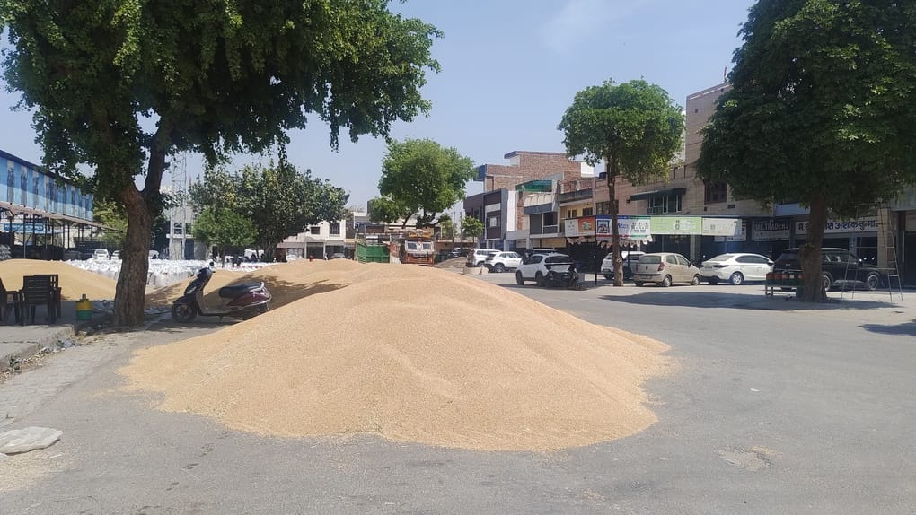 Grain spread across the roads, orders to lift 50 percent of wheat from the market in 3 days