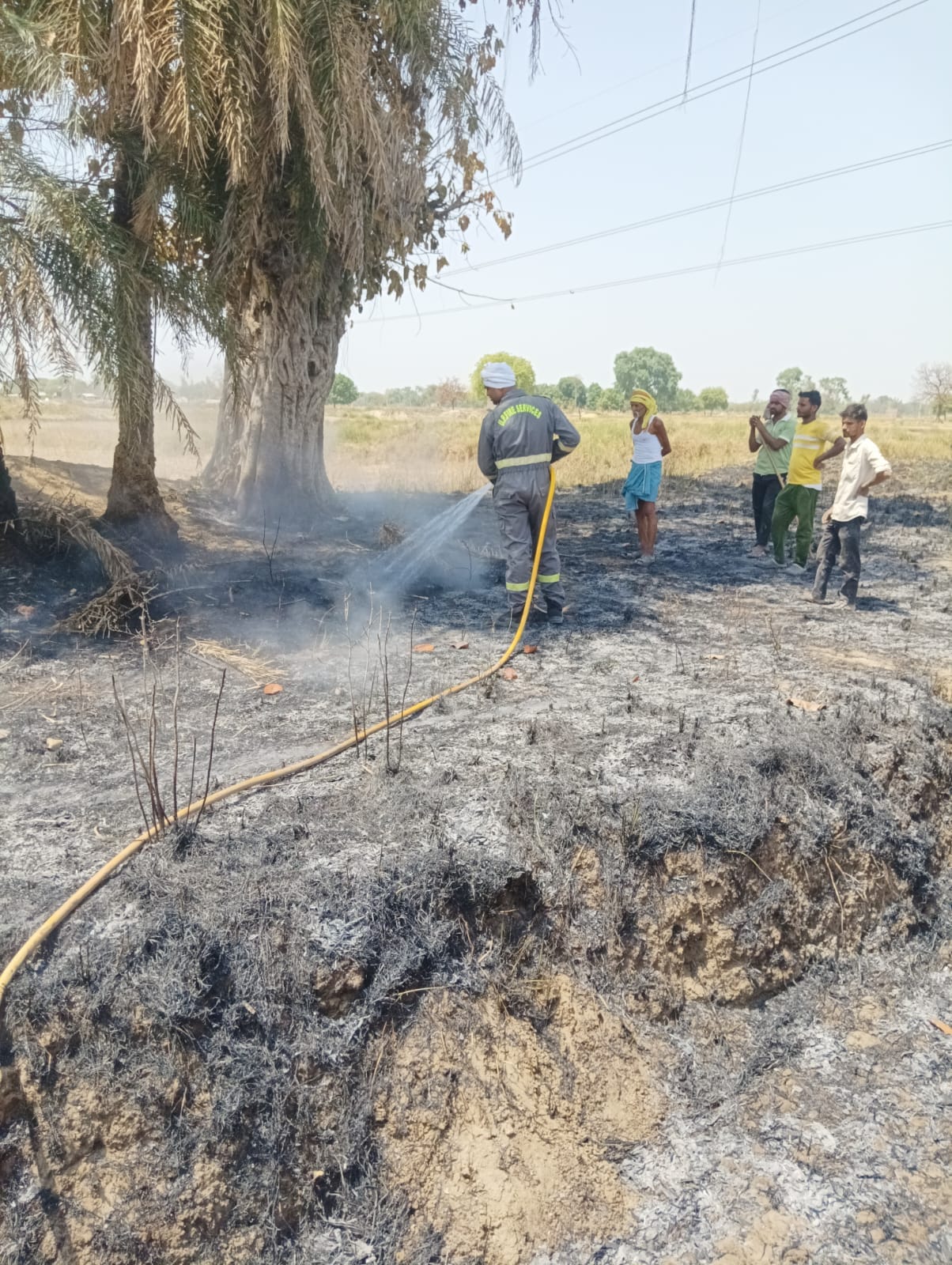 Dozens of bighas of stubble burnt to ashes