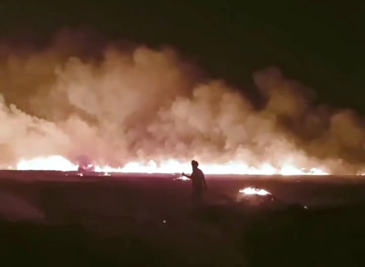 14 acres of wheat crop burnt to ashes due to spark from transformer