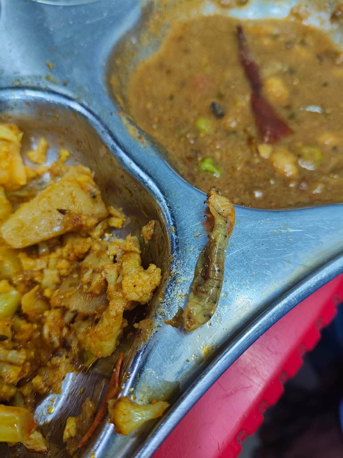 खाने में निकली इल्ली