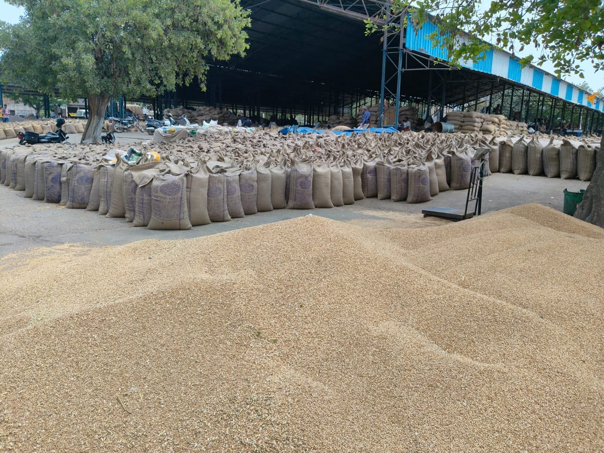 Changing Weather Heightens Concerns for Farmers and Traders