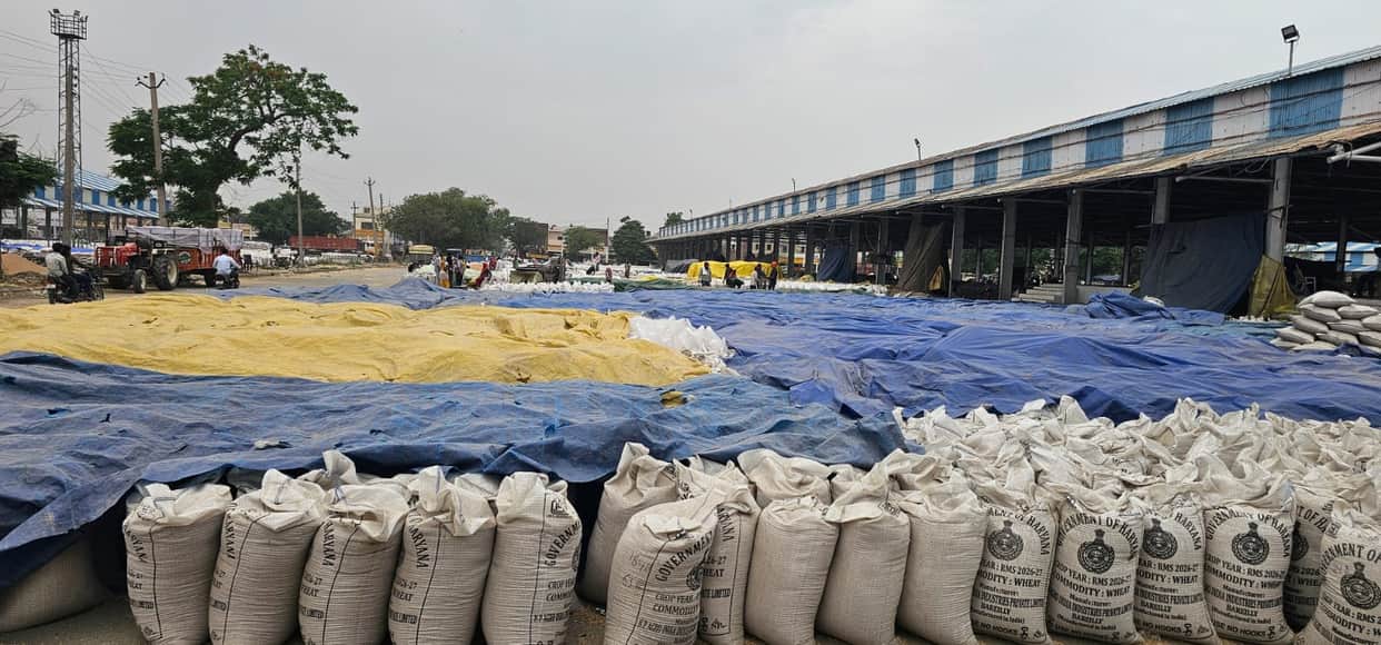 The racket of selling wheat from Uttar Pradesh in Gharaunda Mandi has been exposed, two trolleys seized.