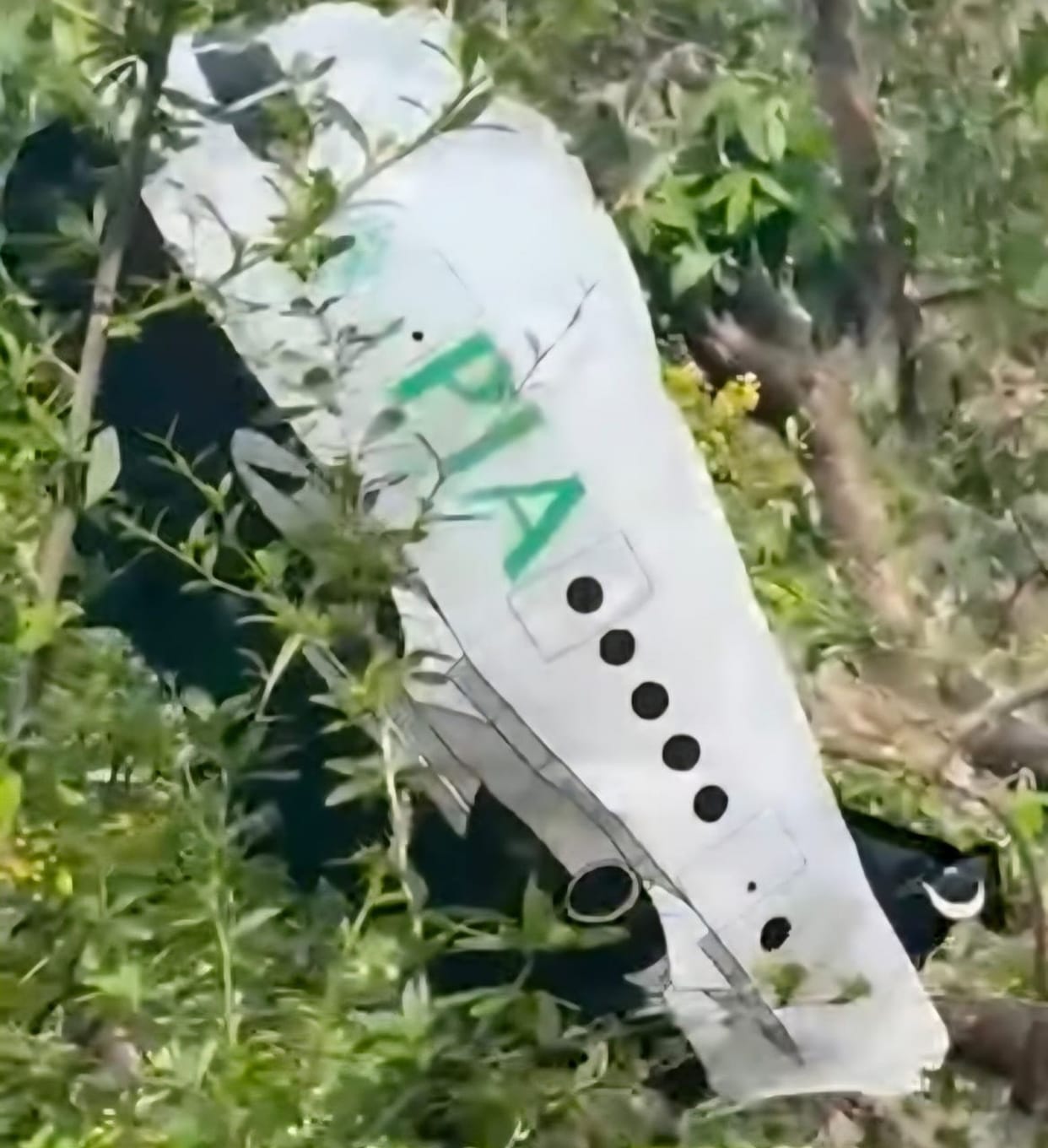 Panic Erupts in Dalhousie's Chalari After Discovery of Suspicious Balloon