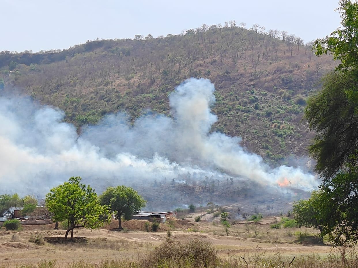 The forest is burning in Mahogarhi of Drummondganj valley.