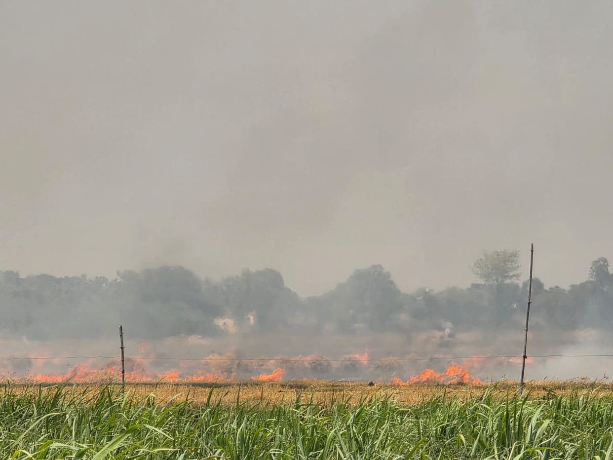 The Fury of Fire: Not Just Crops Burned Dreams, Too, Turned to Ash