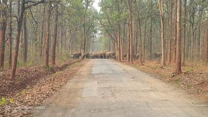 Bhanulal Sidar dies after being struck by an unidentified vehicle incident occurred while he was on his way to