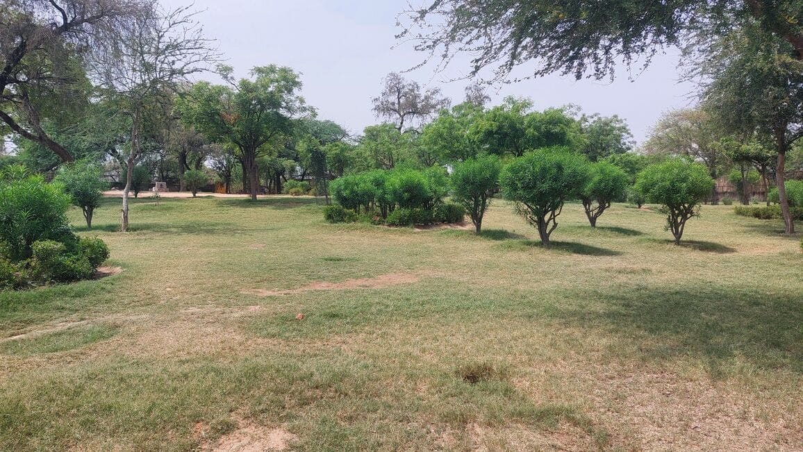 Name: Kankali Tila... All that remains is the skeleton of the mound.