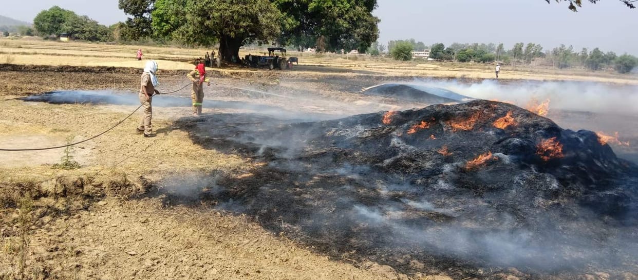 A spark from a short circuit reduced 4 bighas of wheat crop to ashes.