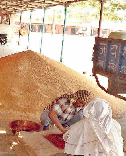 Inspected the Wheat Procurement Center