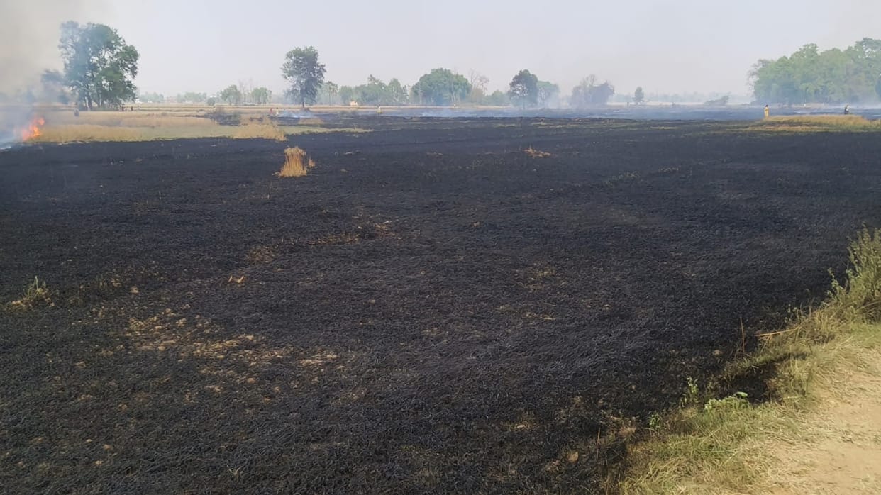 Bikram wheat crop in Patna burnt to ashes